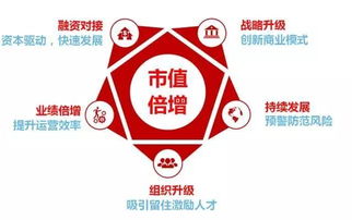 華一世紀(jì)企業(yè)管理顧問 股權(quán)激勵(lì)咨詢產(chǎn)品中心解決方案